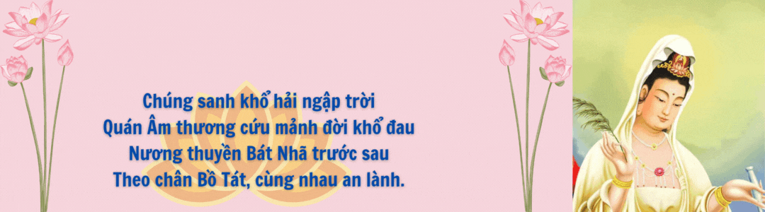 Vía Quan Âm 19/2